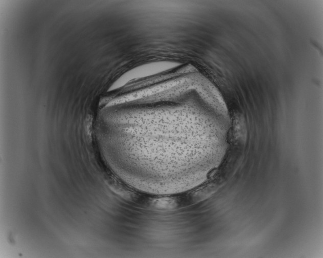 X0000097870275200804041557