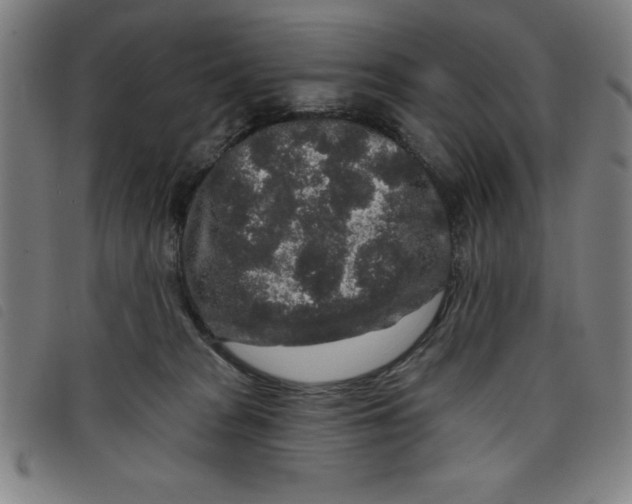 X0000097870277200804041557