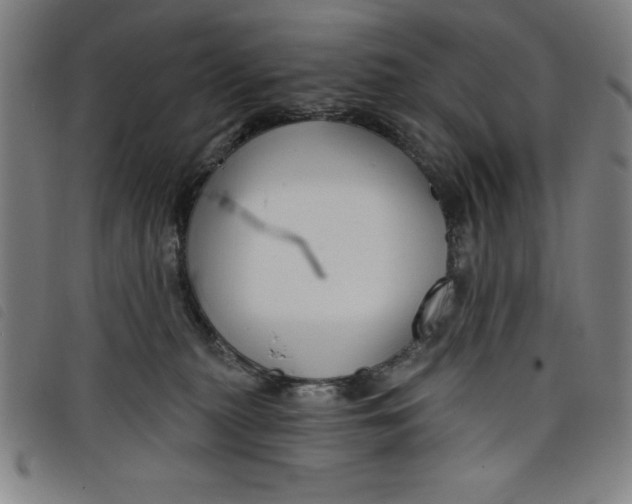 X0000097870279200804041557