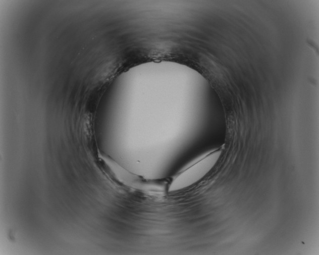 X0000097870280200804041557