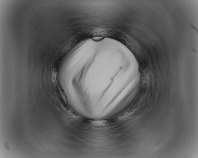 X0000097870281200804041557