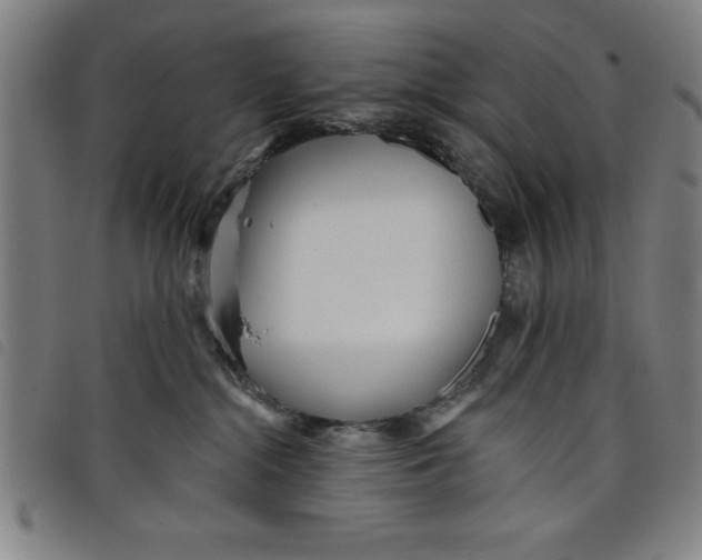 X0000097870284200804041557