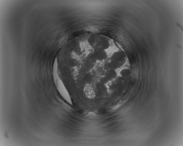 X0000097870285200804041557