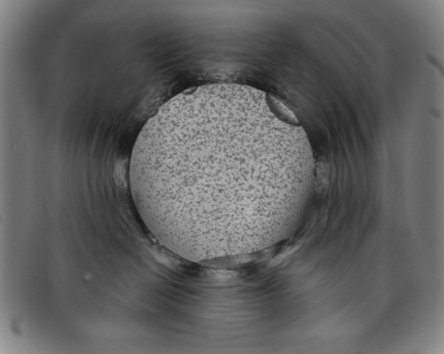 X0000097870286200804041557