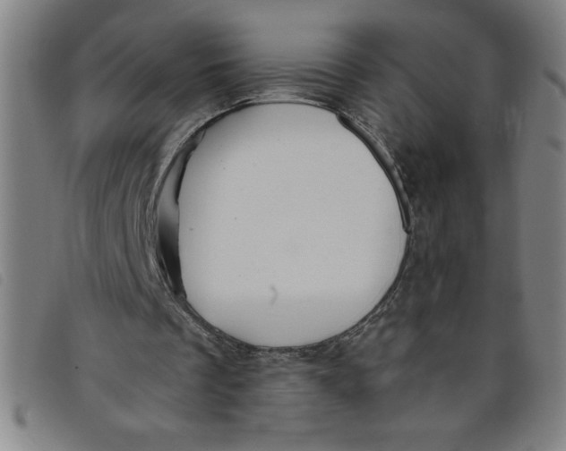 X0000097870289200804041557