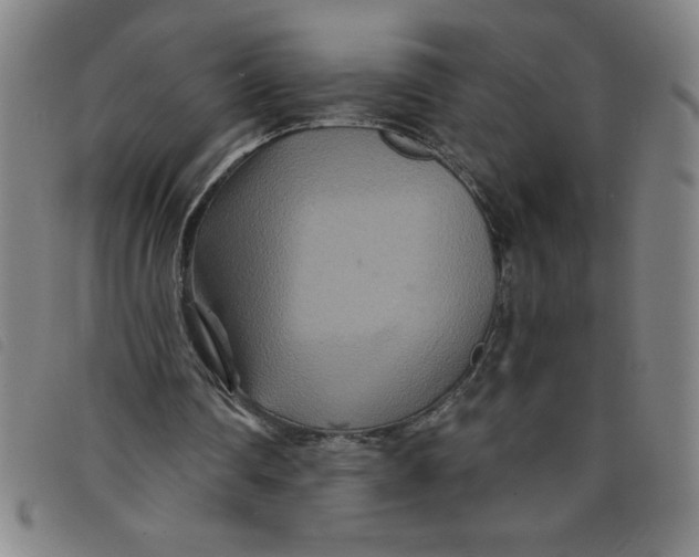 X0000097870290200804041557