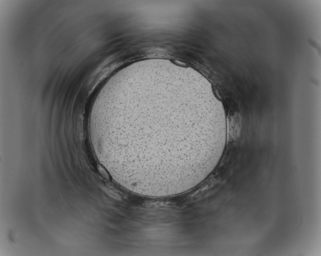 X0000097870291200804041557