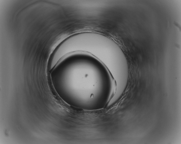 X0000097870292200804041557