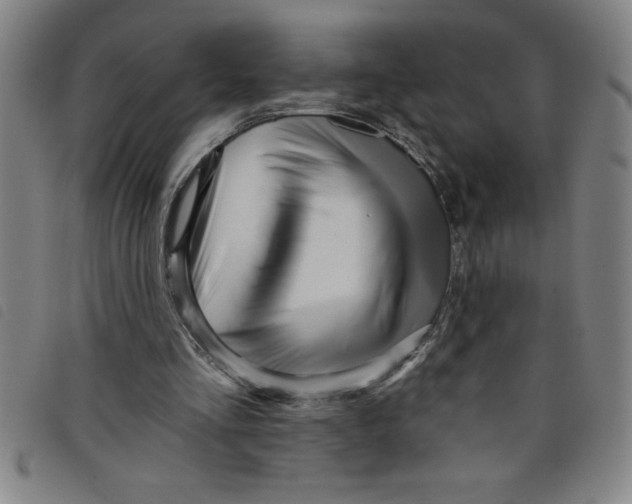 X0000097870293200804041557