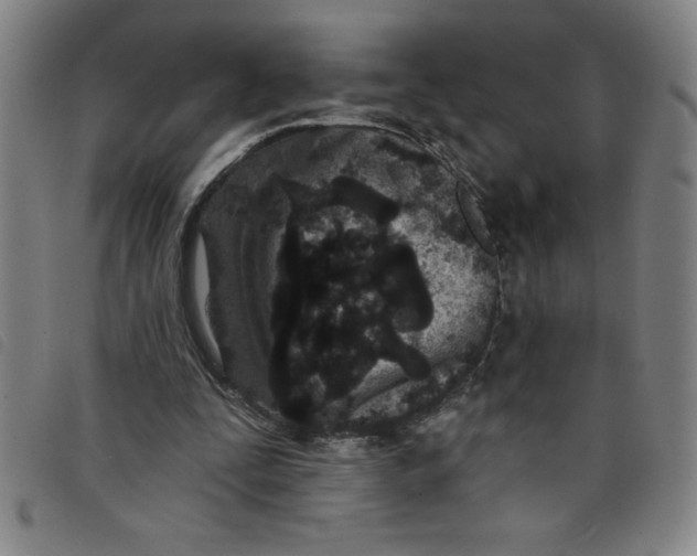 X0000097870295200804041557
