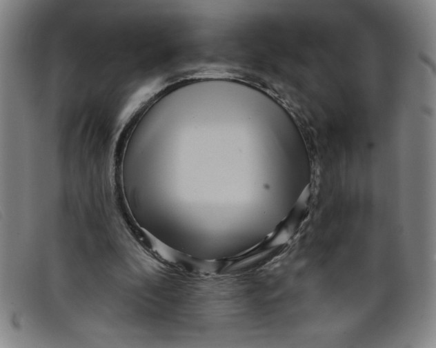 X0000097870296200804041557