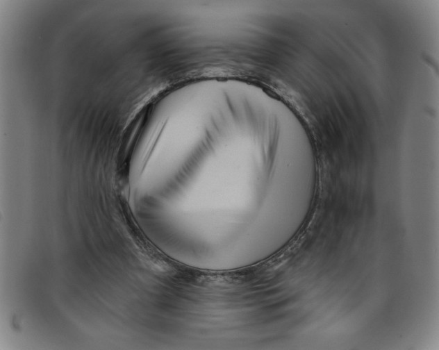X0000097870297200804041557