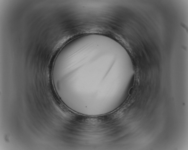 X0000097870298200804041557