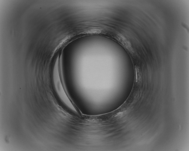 X0000097870300200804041557