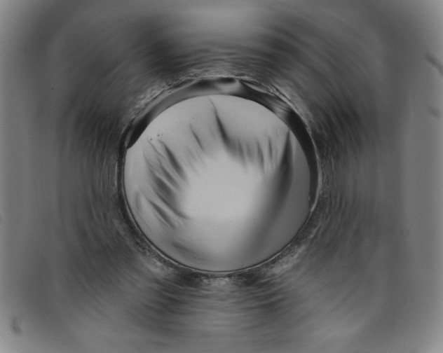 X0000097870301200804041557