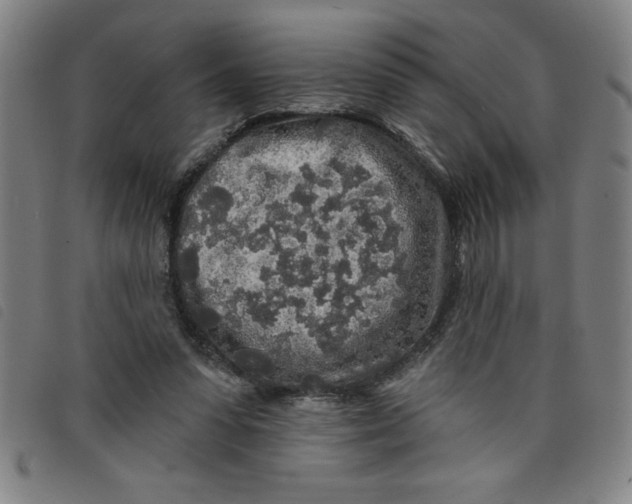X0000097870303200804041557