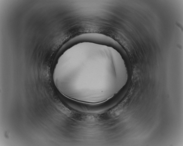 X0000097870305200804041557