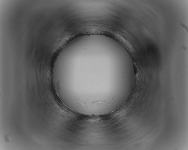 X0000097870306200804041557