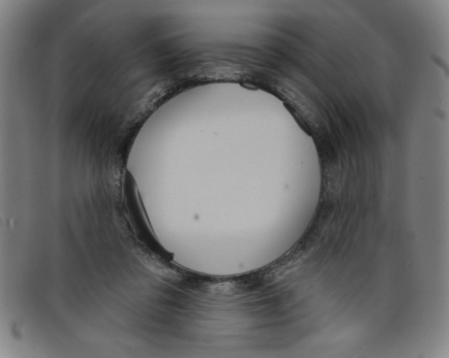 X0000097870309200804041556
