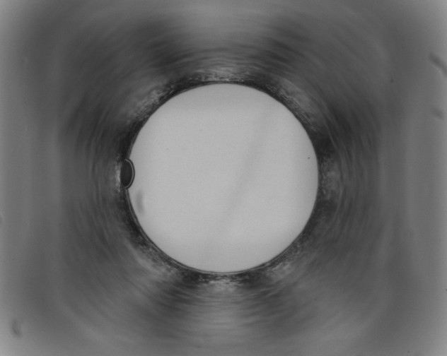 X0000097870310200804041556