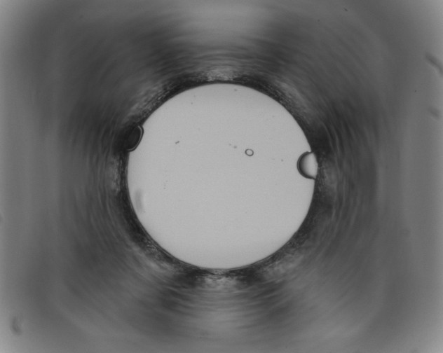 X0000097870311200804041556