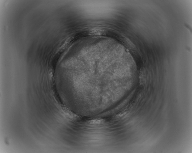 X0000097870314200804041556