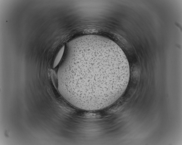 X0000097870315200804041556
