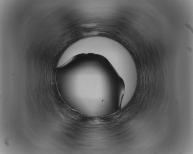 X0000097870316200804041556