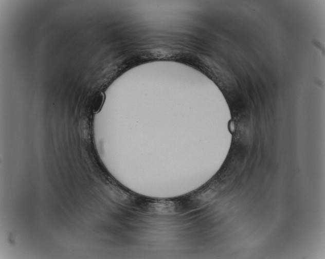 X0000097870317200804041556