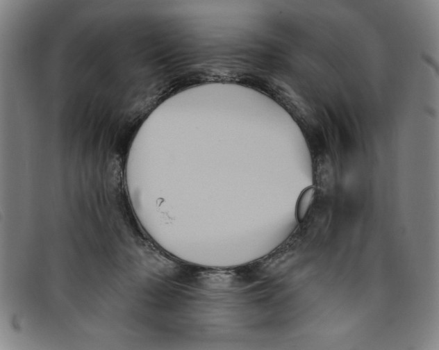 X0000097870318200804041556