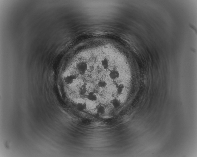 X0000097870319200804041556