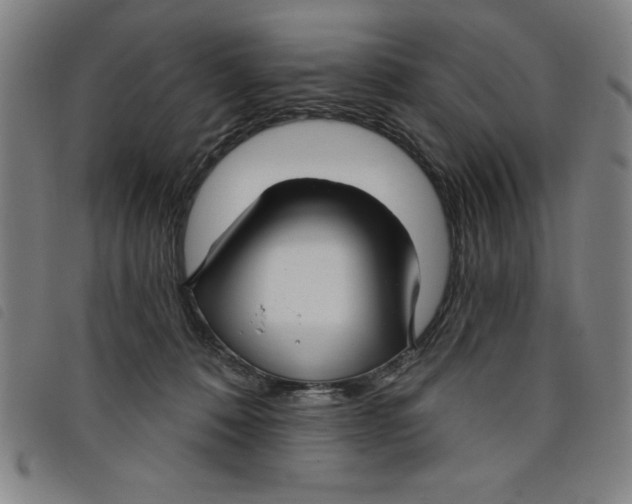 X0000097870320200804041556