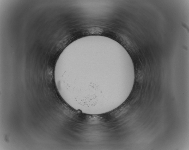 X0000097870321200804041556