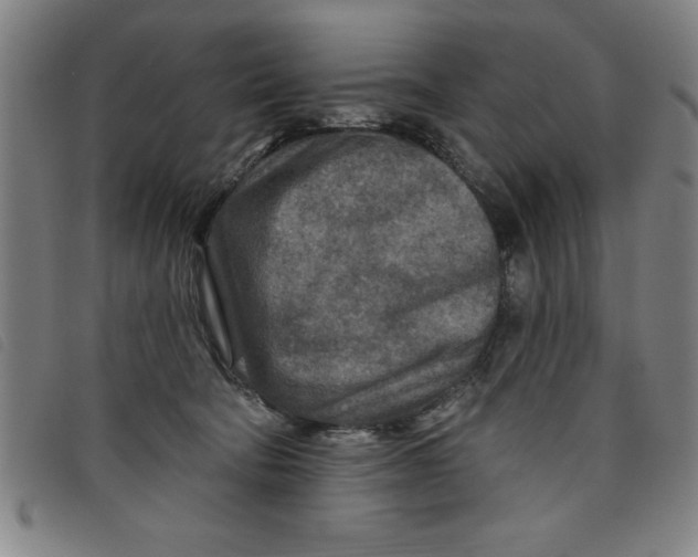 X0000097870322200804041556