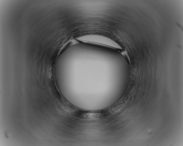 X0000097870323200804041556