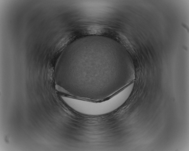 X0000097870325200804041556