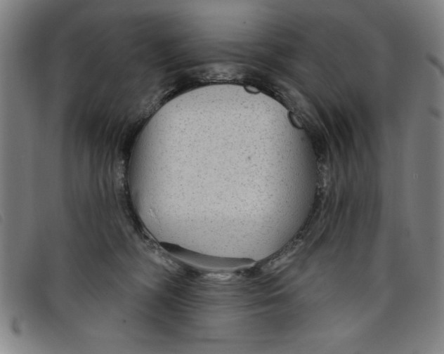 X0000097870326200804041556