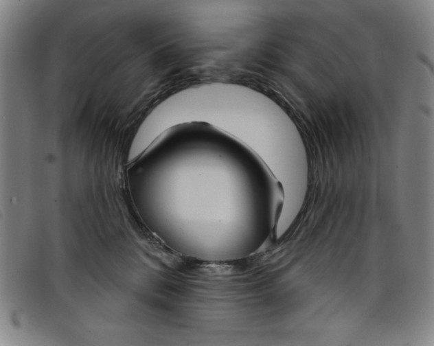X0000097870328200804041556