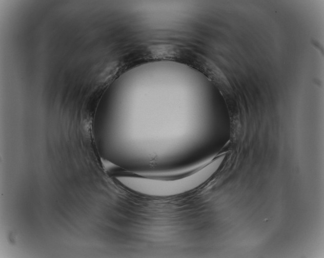 X0000097870329200804041556