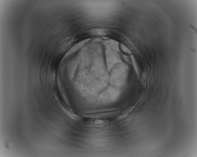 X0000097870330200804041556