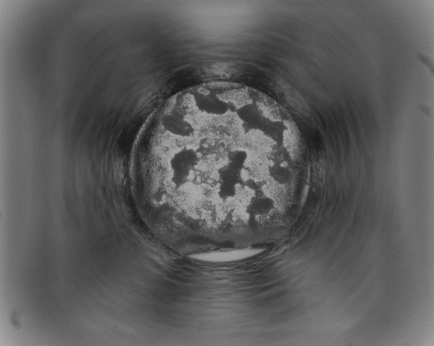 X0000097870331200804041556