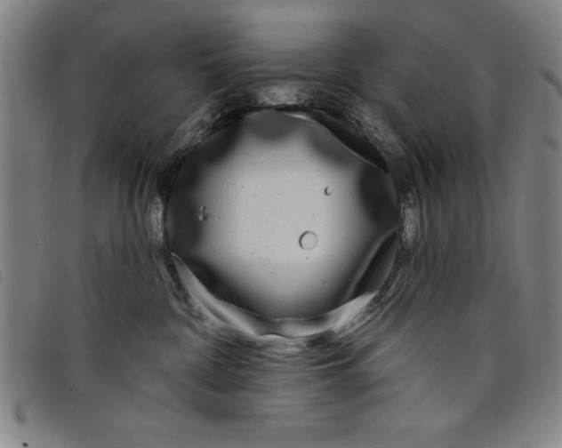 X0000097870332200804041556