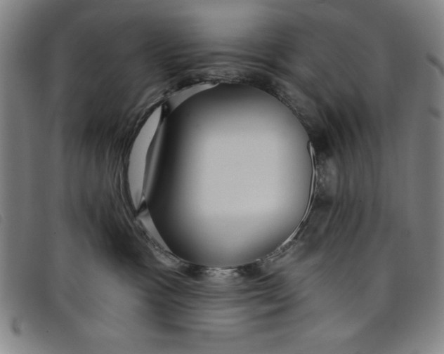 X0000097870333200804041556