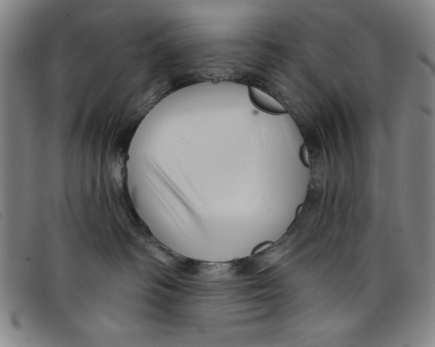 X0000097870334200804041556