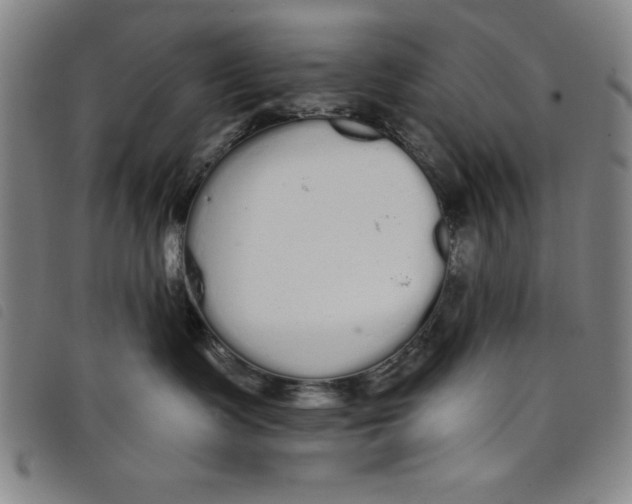 X0000097870335200804041556