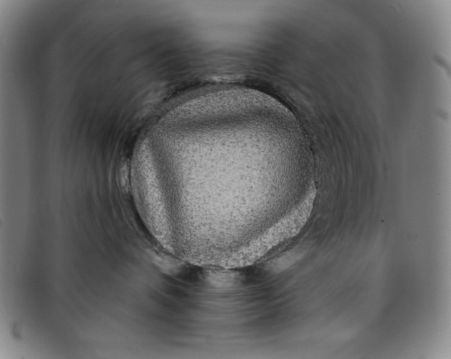 X0000097870336200804041556