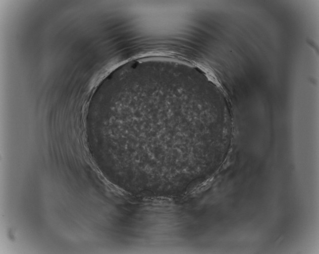 X0000097870337200804041555