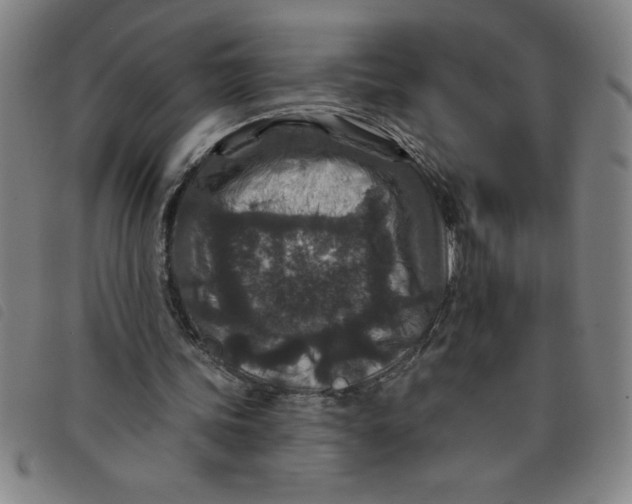 X0000097870339200804041555