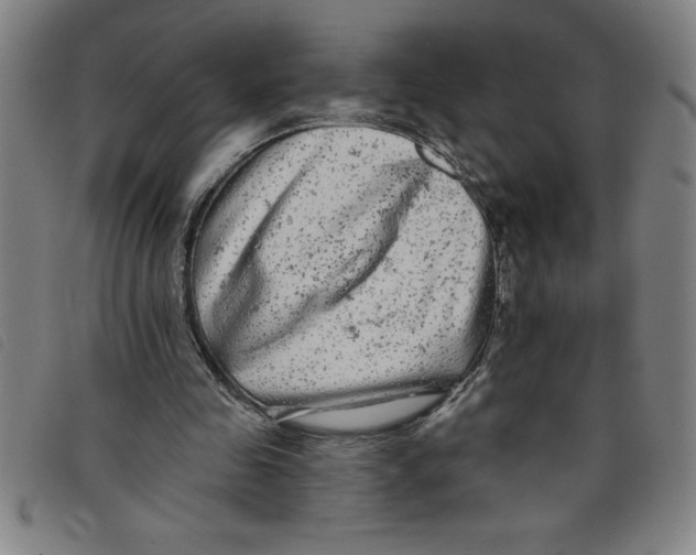 X0000097870341200804041556