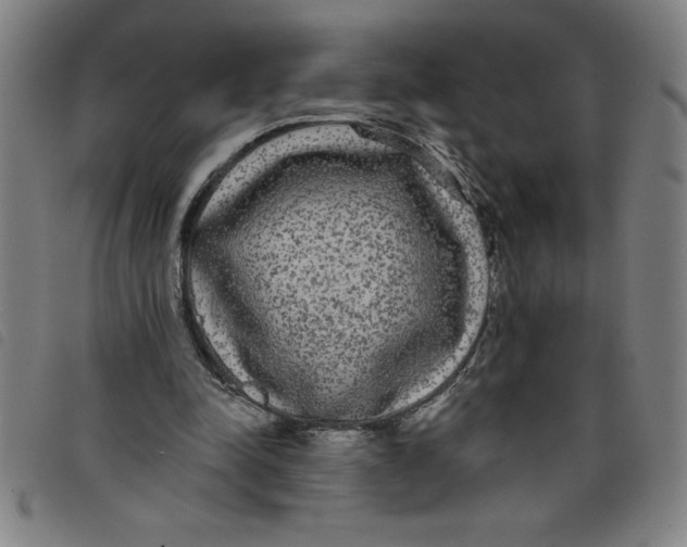 X0000097870342200804041556